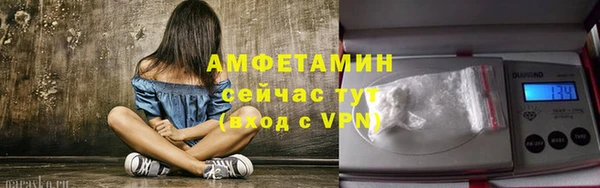 шишки Балабаново