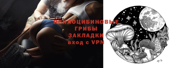 шишки Балабаново