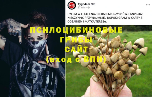 шишки Балабаново