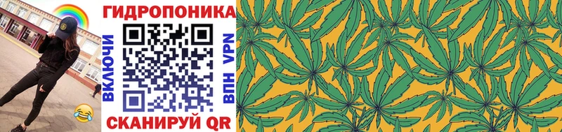 OMG онион  Красный Холм  Бошки Шишки OG Kush  магазин   